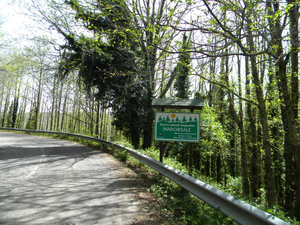 2015-05-06 14.46.08 .jpg